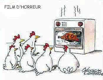 poule