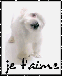 tu fait koi ???